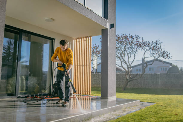 Best Sidewalk and Walkway Cleaning  in Walnut Ridge, AR